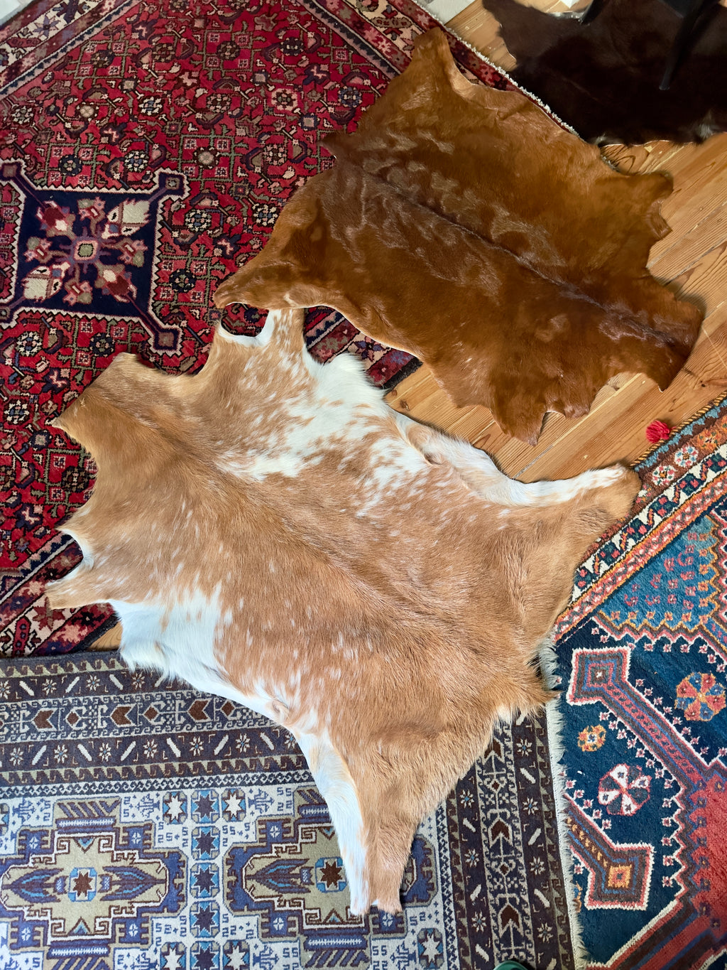 Tapete / Pele de cabra