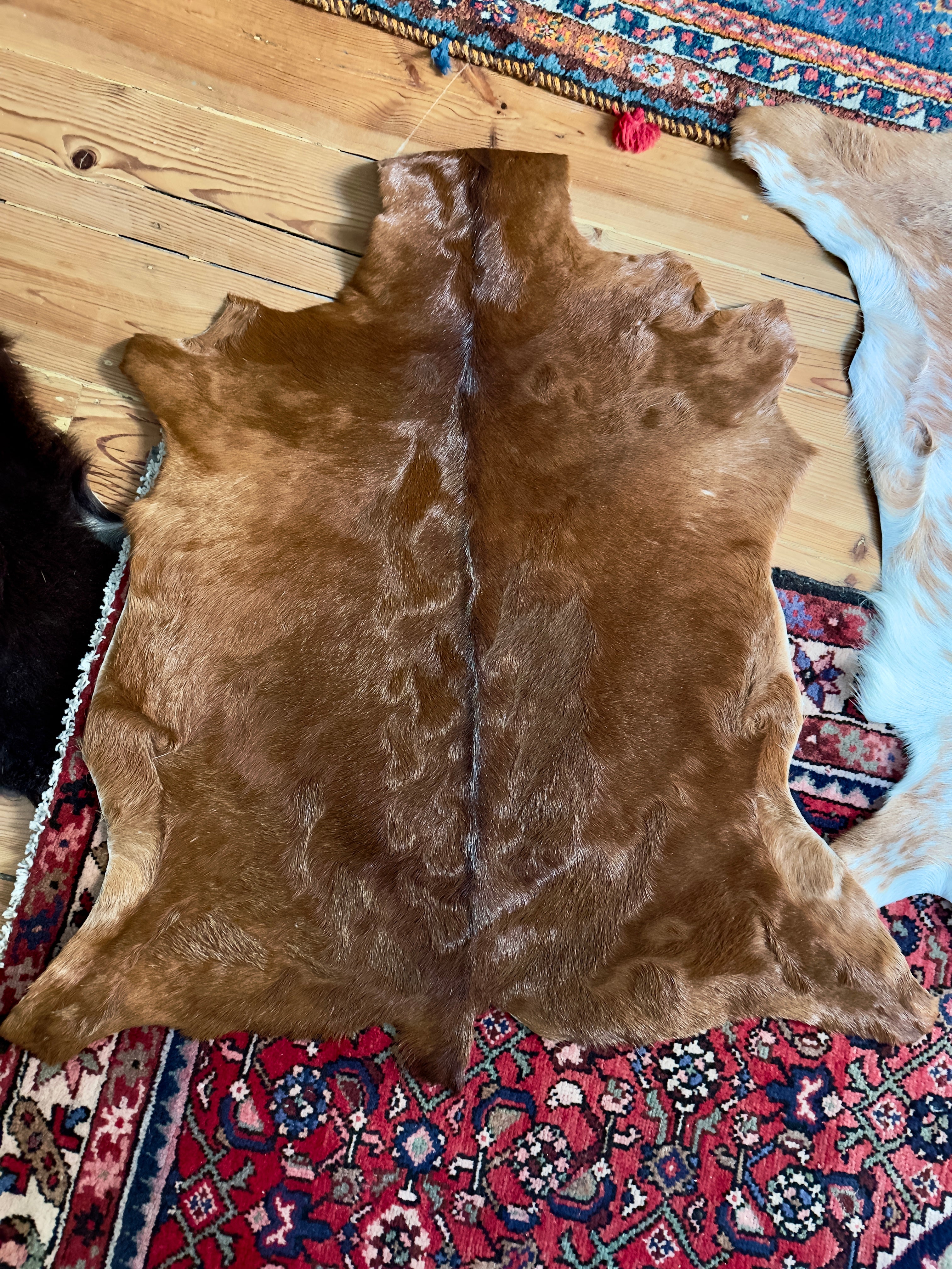 Tapete / Pele de cabra