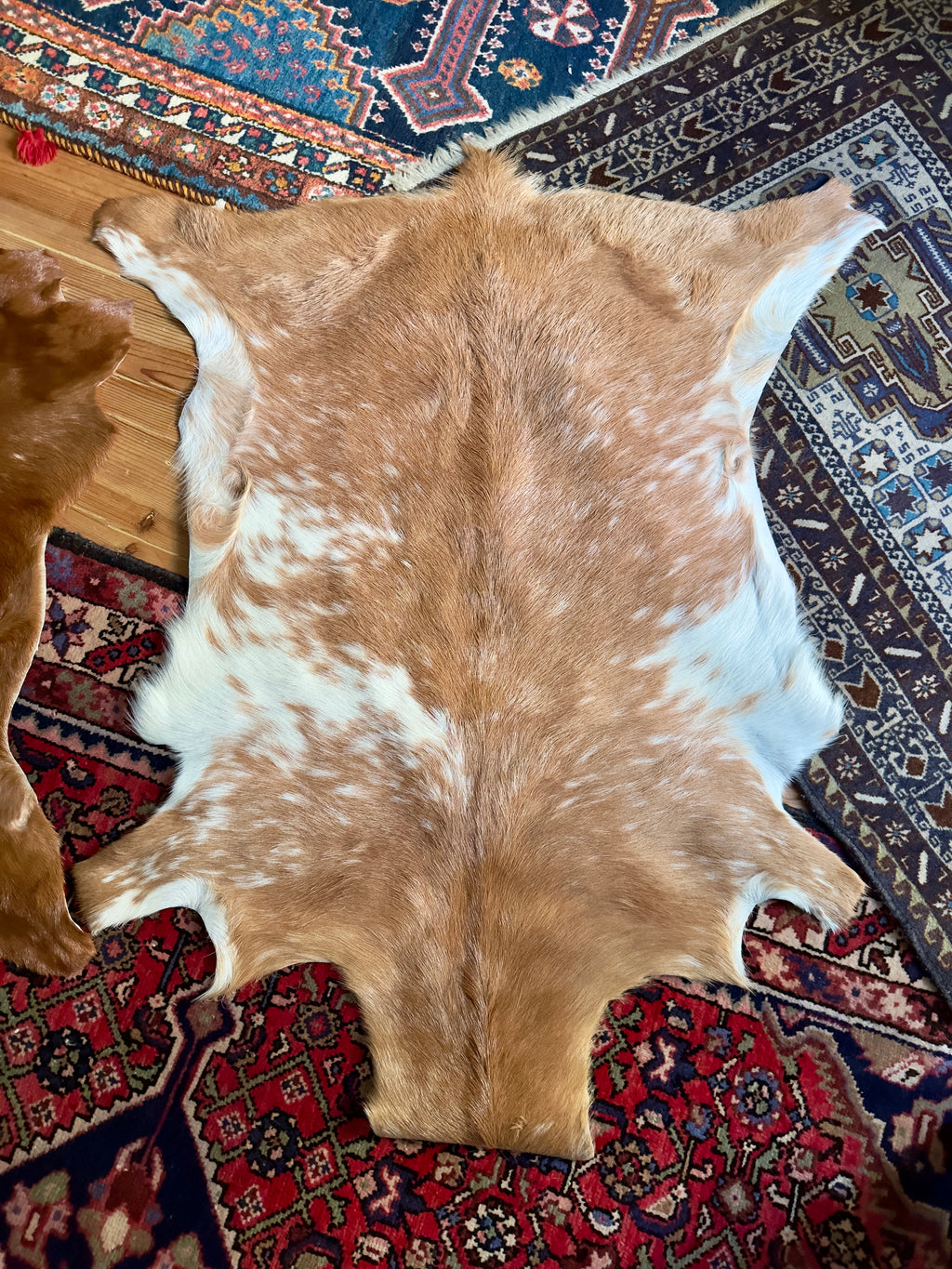 Tapete / Pele de cabra