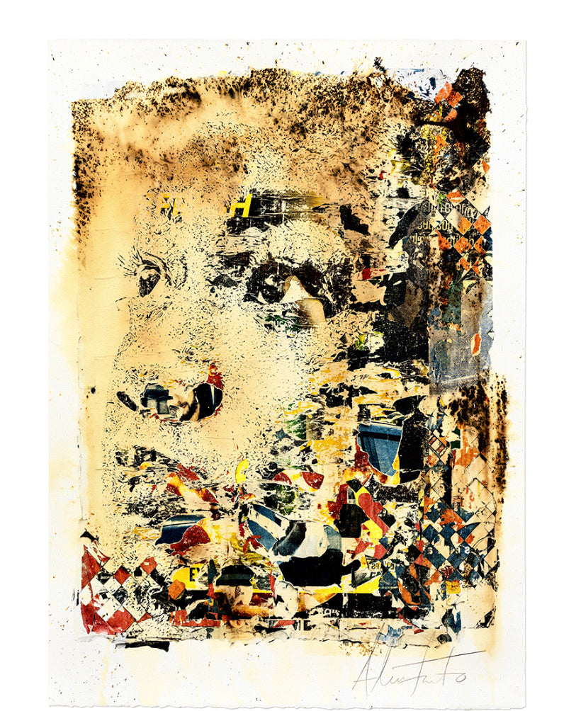 Quadro / Litografia de VHILS