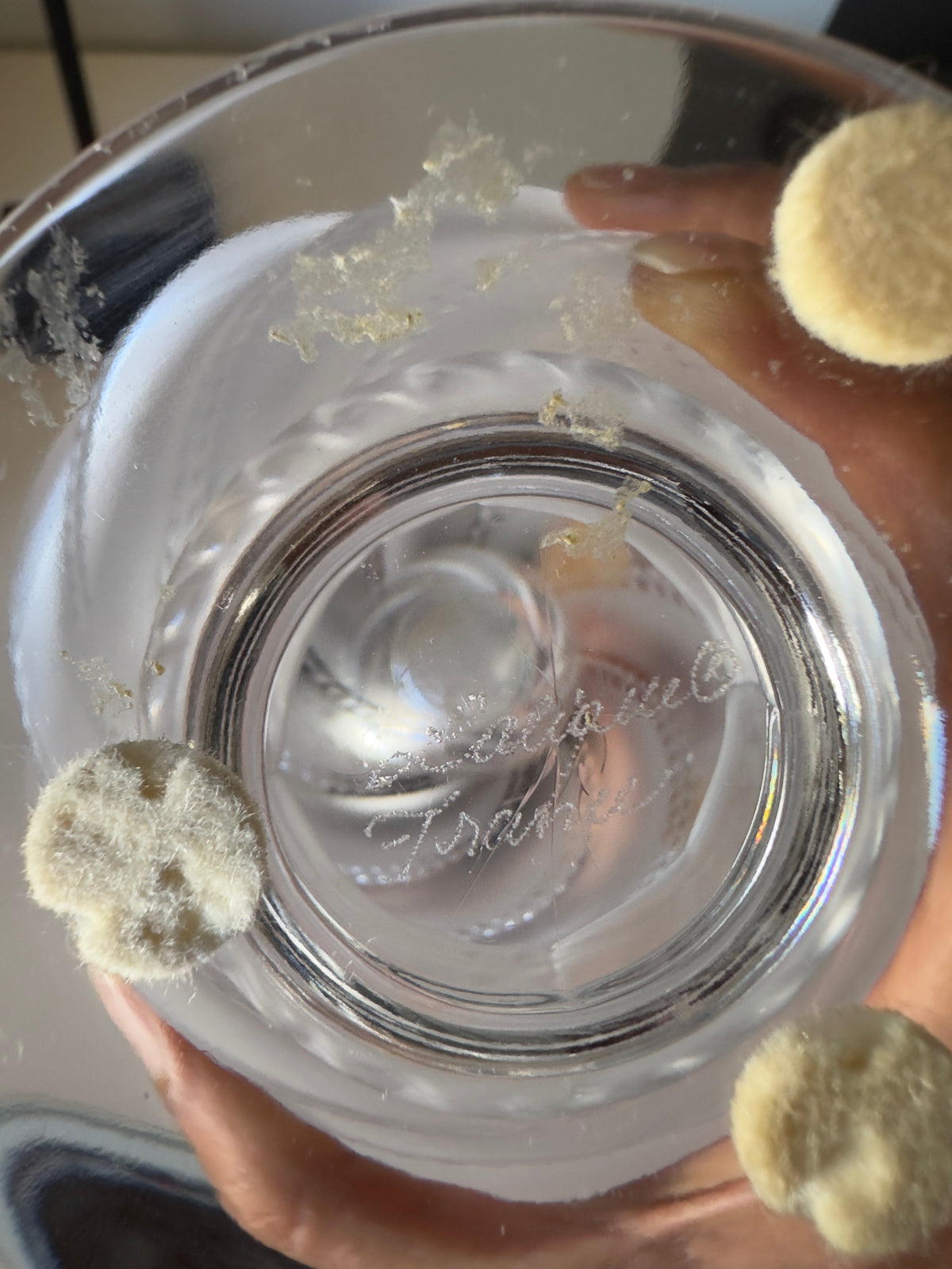 Cristal / Vaso Lalique